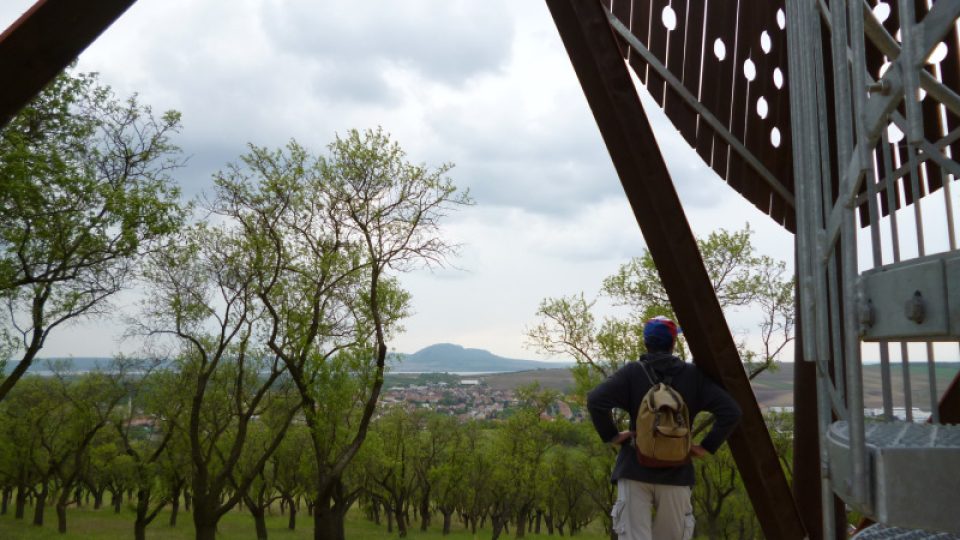 Výhled z mandloňového sadu u Hustopečí