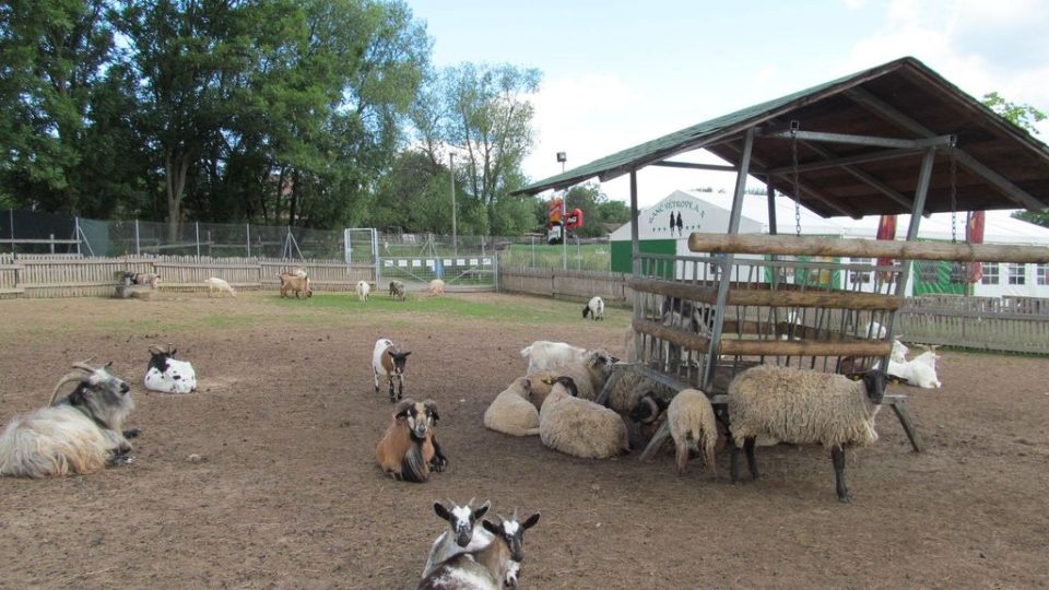 Výběh pro ovce a kozy