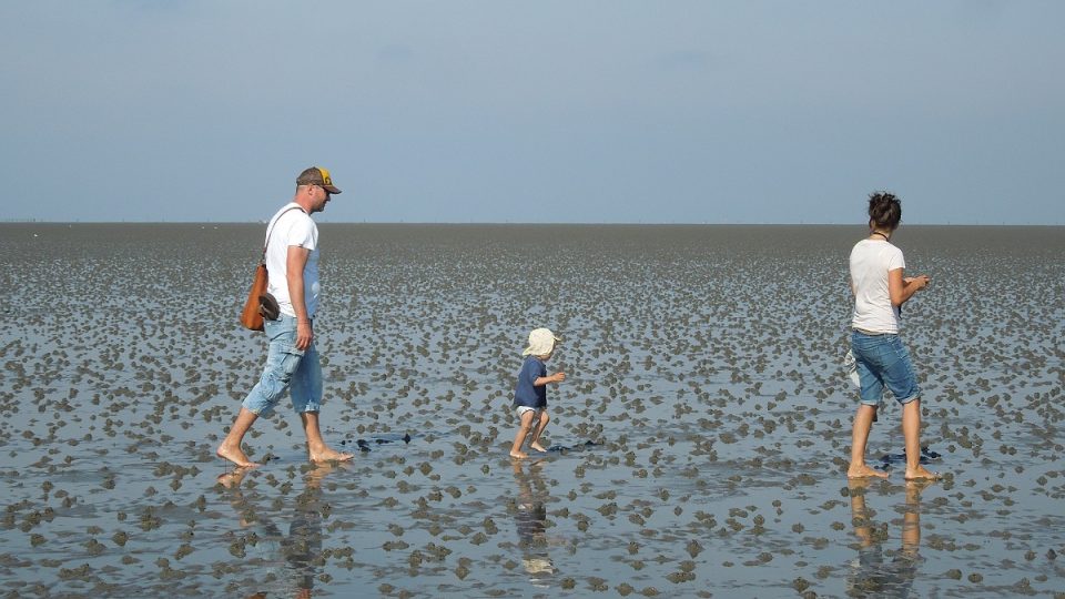 U Cuxhavenu ustupuje moře až do vzdálenosti 20 kilometrů