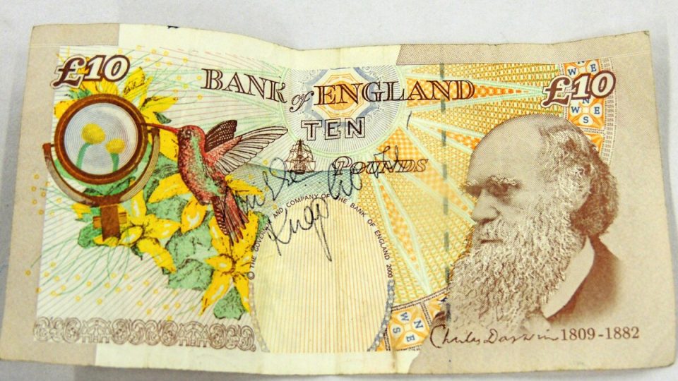 Podpis Mirky Knapkové na desetilibrové bankovce