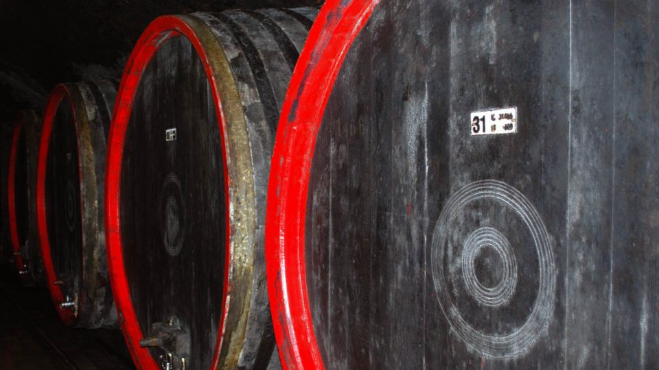 V dřevěných sudech ve valtickém podzemí dozrává především červené víno