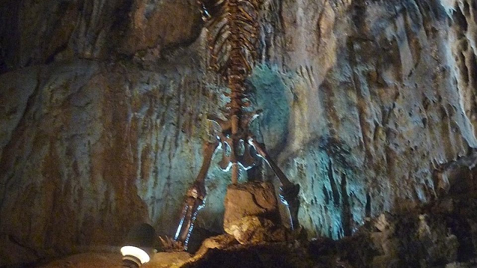 Sloupsko-šošůvské jeskyně jsou rozsáhlým komplexem dómů, chodeb a obrovských podzemních propastí vytvořených ve dvou patrech