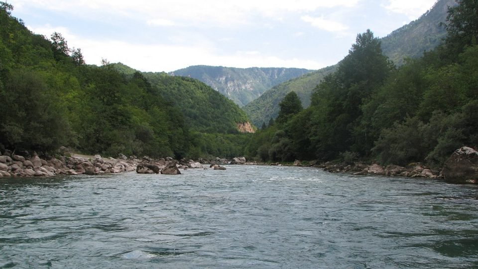 Tara je chladná, pitná a křišťálově průzračná řeka