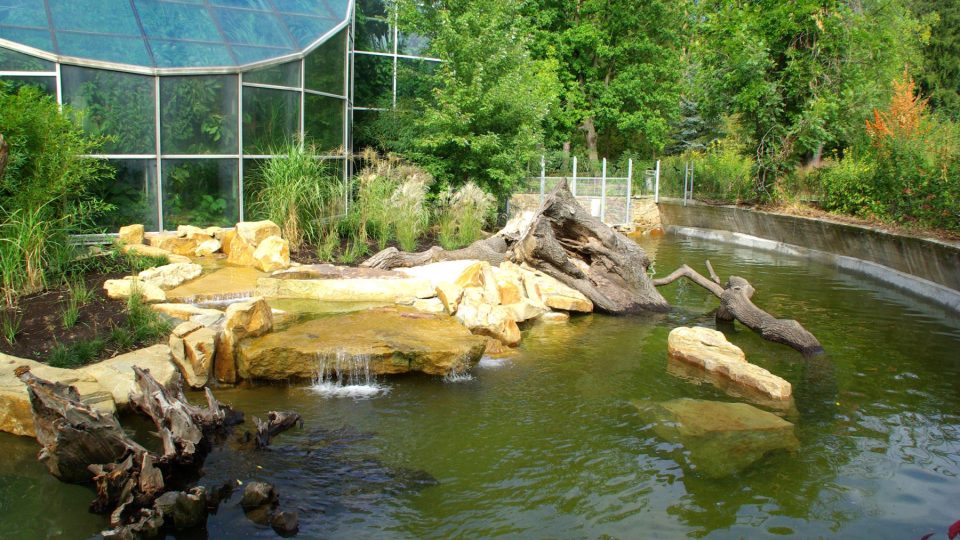Expozice vyder velkých ve zlínské zoo