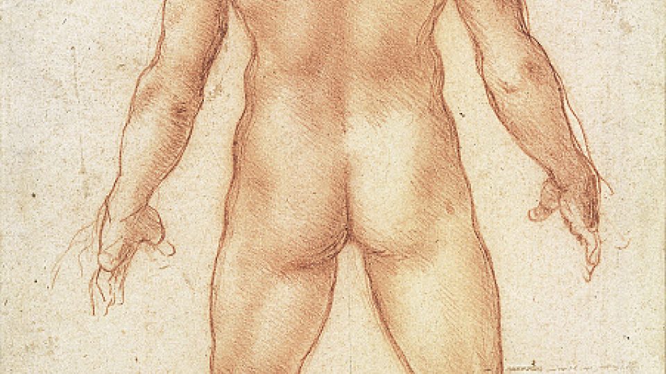 Leonardo da Vinci: Mužský akt zezadu, asi 1504–1506