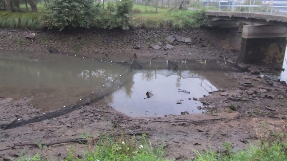 Jednu ze sítí rybáři umístili těsně u propojení Labe a Mlýnského náhonu v Čelákovicích