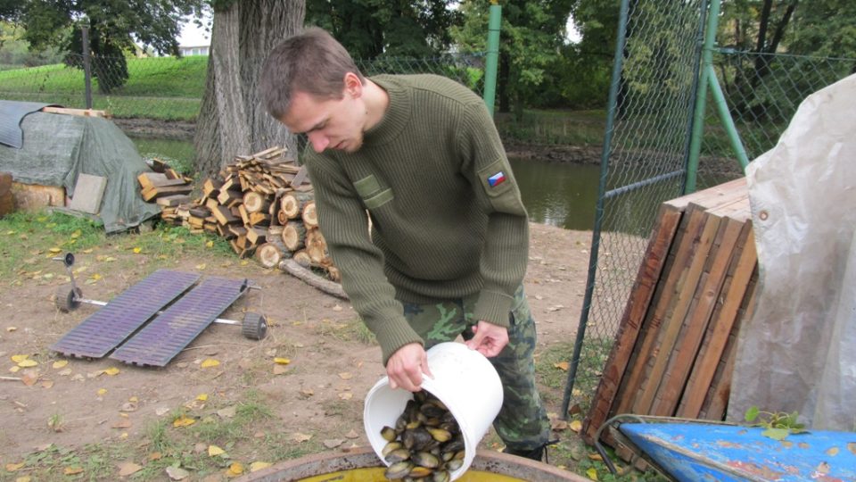 Zachráněné škeble skončily v kádi a pak v jiné tůni