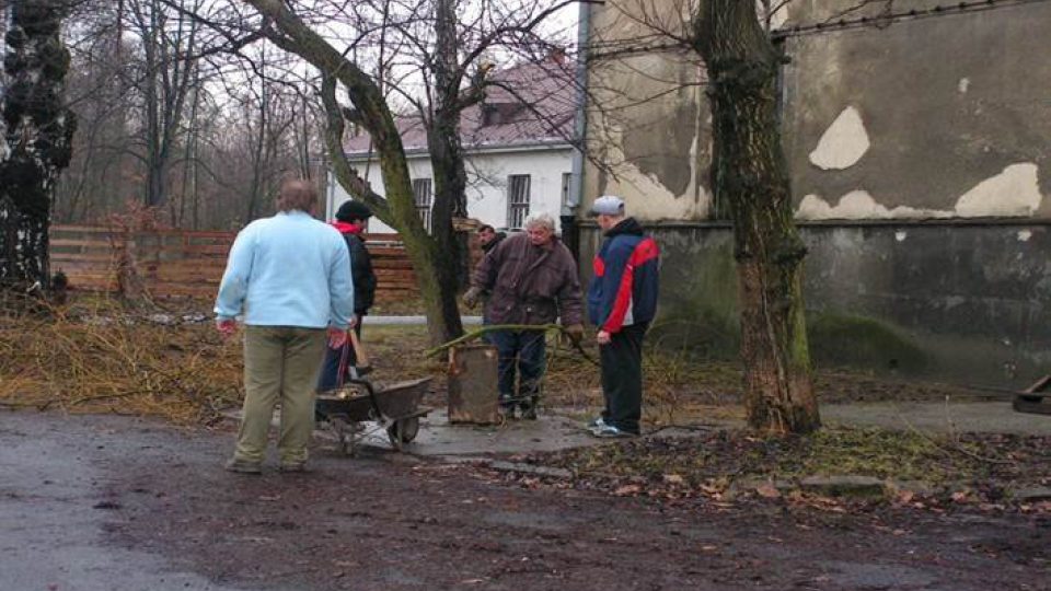 Pracovní terapie