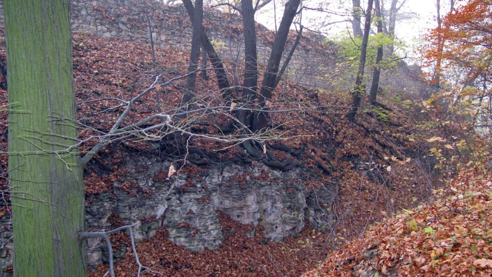 Výběr z fotografií zříceniny hradu Pravda v roce 2009 