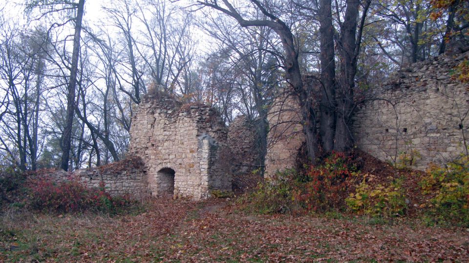 Výběr z fotografií zříceniny hradu Pravda v roce 2009 