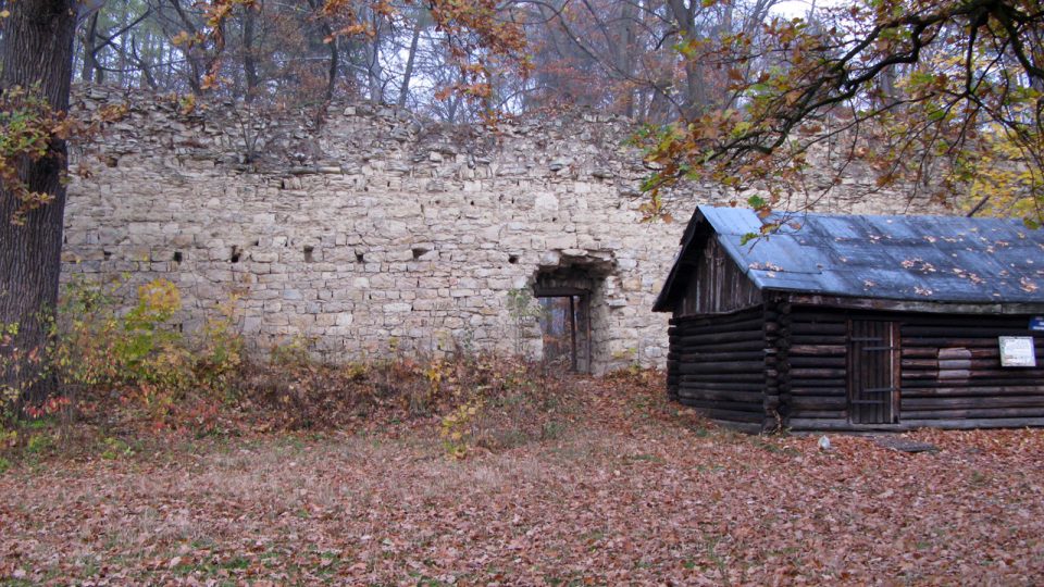 Výběr z fotografií zříceniny hradu Pravda v roce 2009 