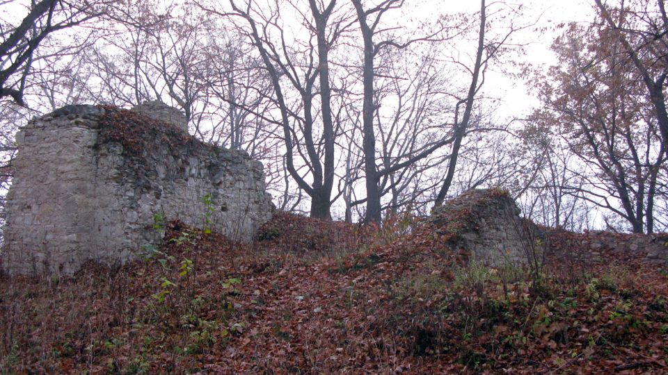 Výběr z fotografií zříceniny hradu Pravda v roce 2009 