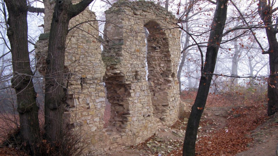 Výběr z fotografií zříceniny hradu Pravda v roce 2009 