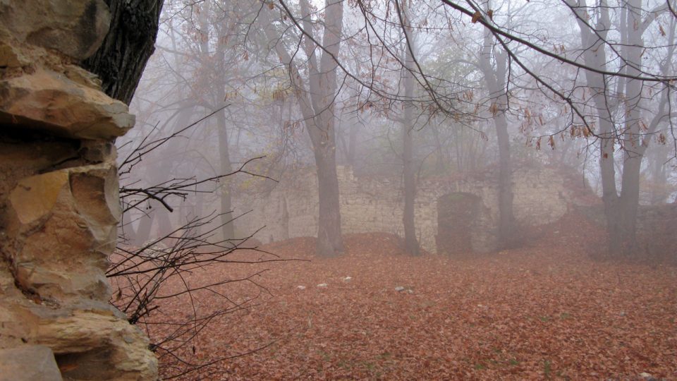 Výběr z fotografií zříceniny hradu Pravda v roce 2009 