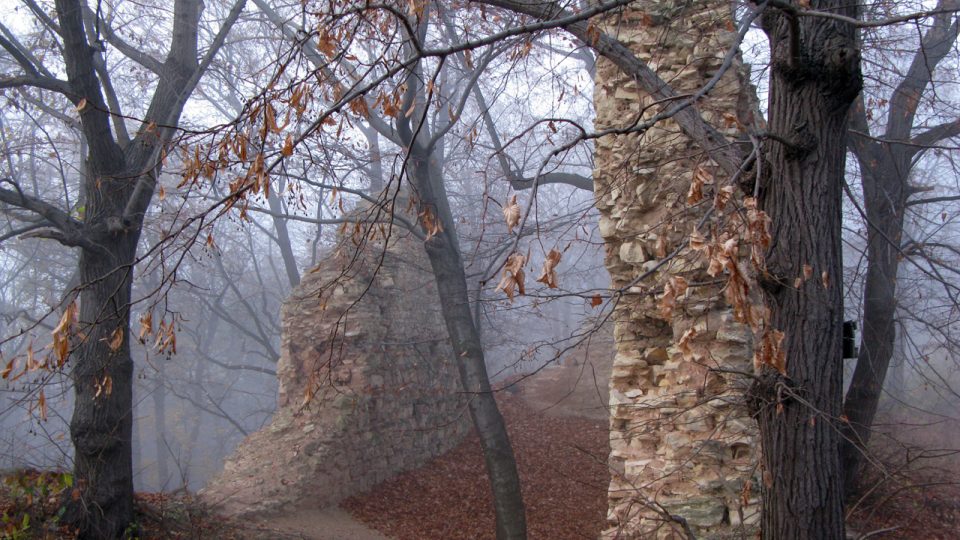 Výběr z fotografií zříceniny hradu Pravda v roce 2009 