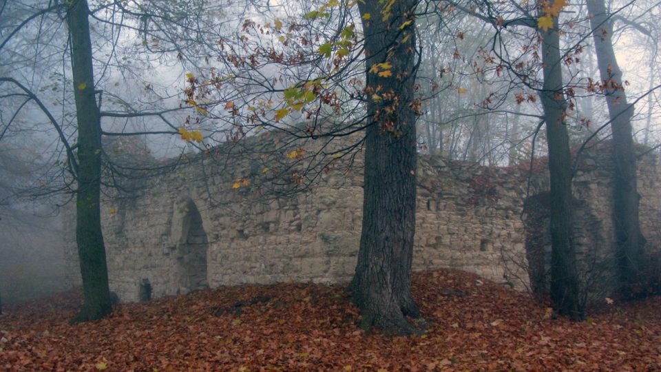 Výběr z fotografií zříceniny hradu Pravda v roce 2009 