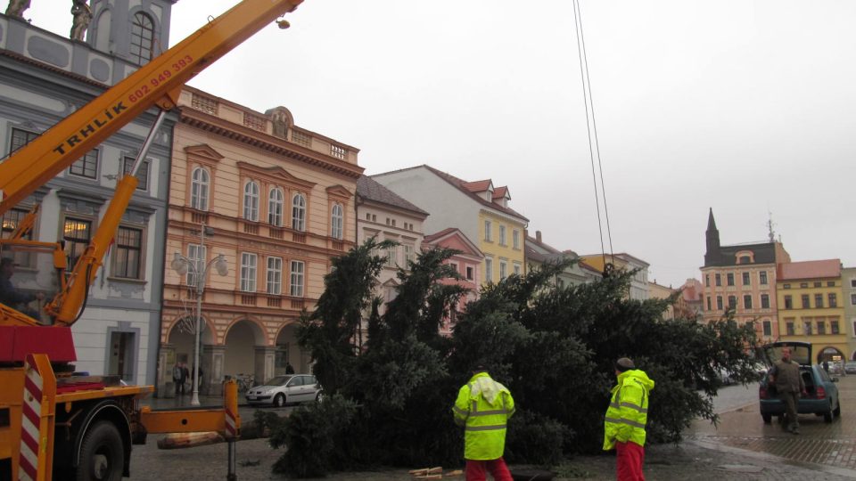 Českobudějovický vánoční strom převezli z náměstí Přemysla Otakara II. do ZOO Ohrada v Hluboké nad Vltavou. 