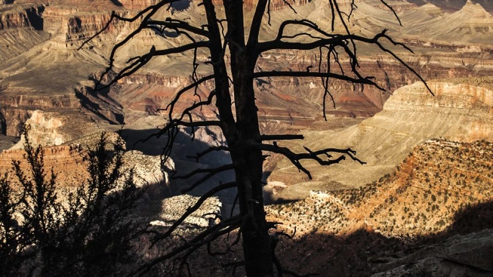 Nejsilnější poezii mají ve Velkém kaňonu právě drobnosti, které vyčnívají z monumentálních rozměrů svého okolí