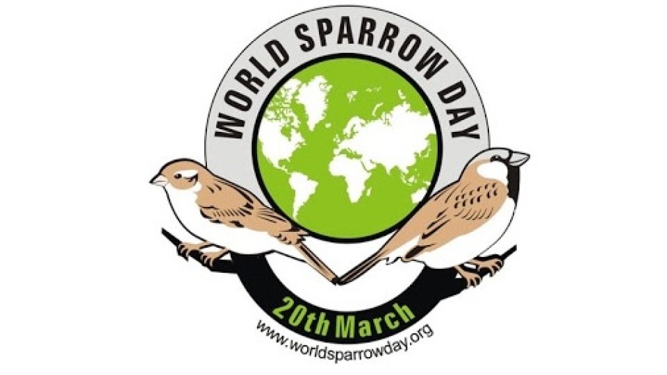 Světový den vrabců