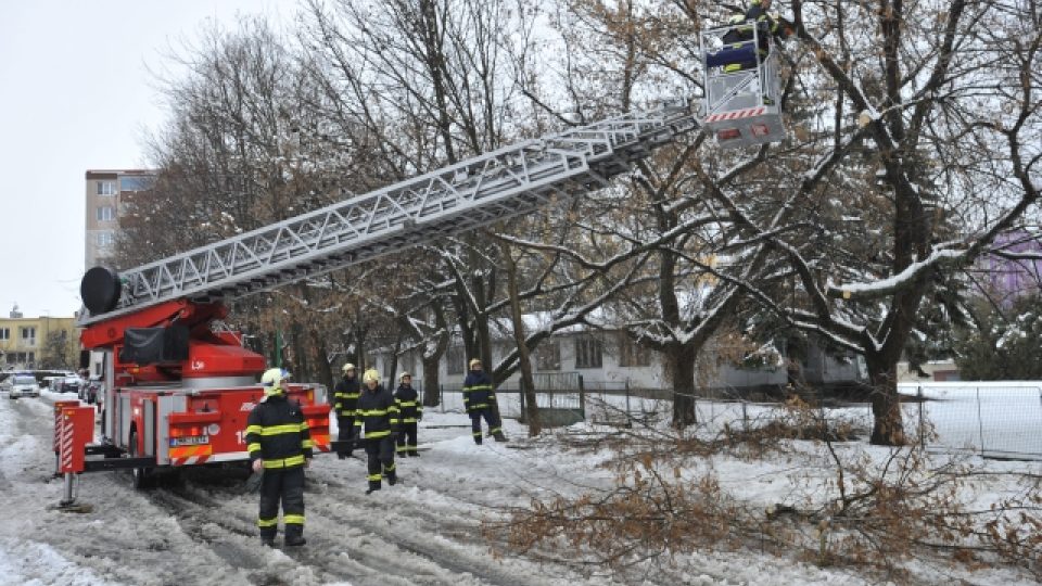 Hasiči museli v Olomouci ořezávat polámané větve stromů