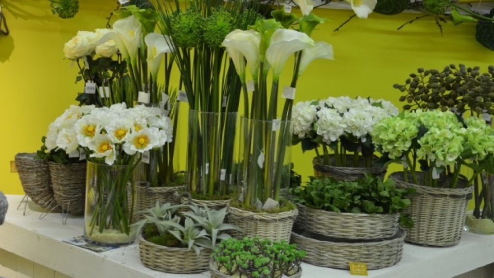 Internationale Pflanzenmesse, mezinárodní, zahradnický, květinářský a floristický veletrh