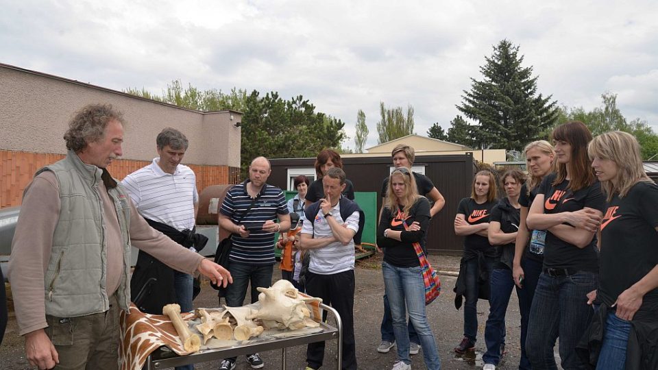 Basketbalistky adoptovaly žirafího samce Jita v ZOO Dvůr Králové nad Labem