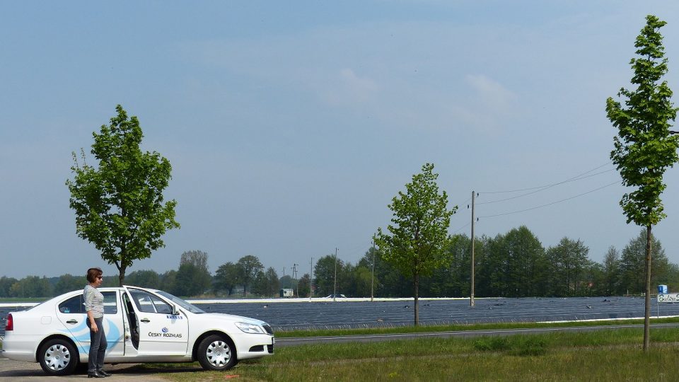 Na reportáži mezi chřestovými plantážemi v Beelitzu 70 km jihozápadně od Berlína