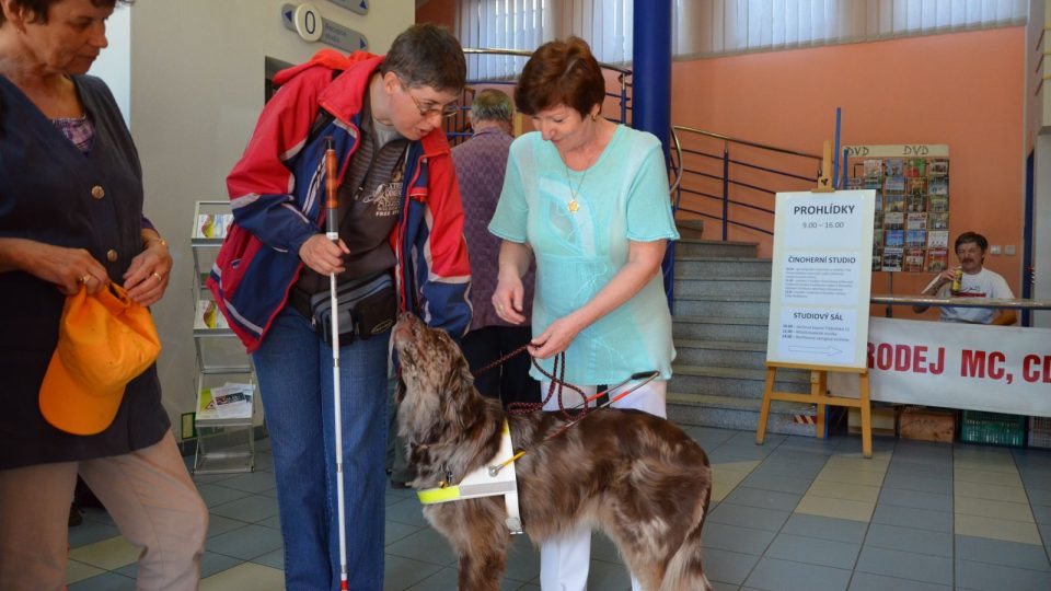 Na návštěvu přišla i asistenční fenka se svou paničkou