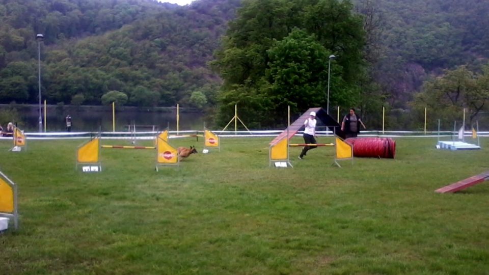 Jitka Lebedová na závodech v agility Canil Cup