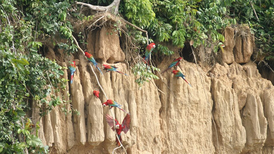 Amazonie/Peru očima Vladimira Plesingera