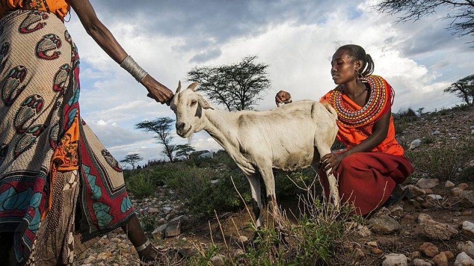 Lenka Klicperová: Úděl africké ženy