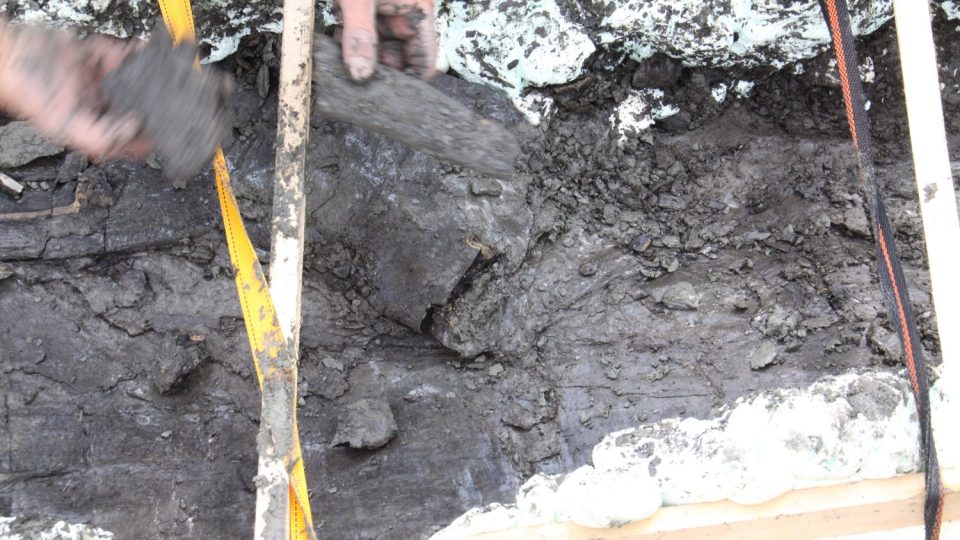 ...je to větev na spodní straně kmene, kterou se paleontolog Milan Libertín snaží zachránit v troskách.