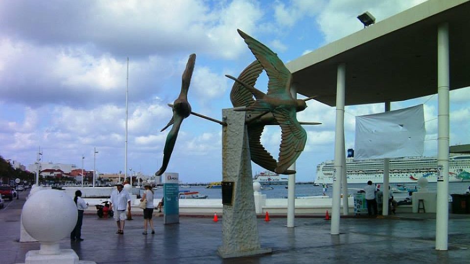 Hned u přístavního mola vás na Cozumelu vítají zdejší vlaštovky