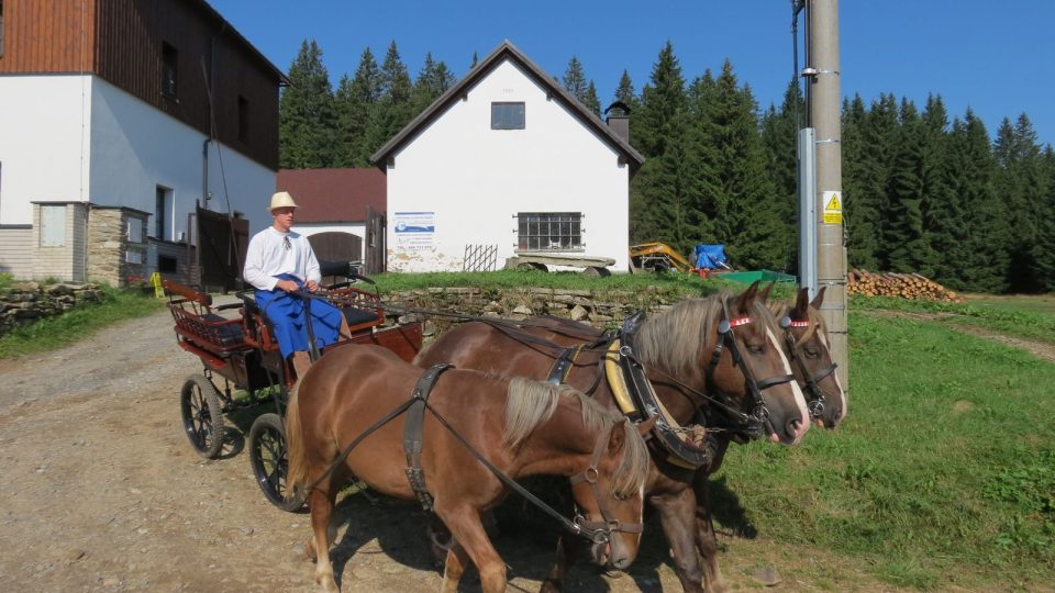 Povoz s koňmi bude v okolí Modravy vozit turisty