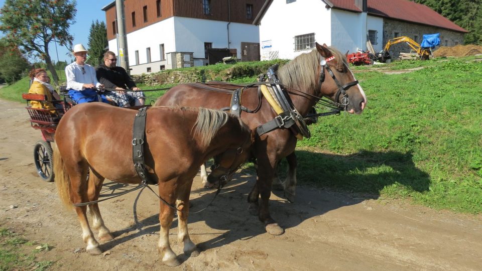 Povoz s koňmi bude v okolí Modravy vozit turisty