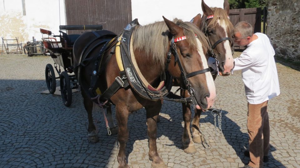 Povoz s koňmi bude v okolí Modravy vozit turisty