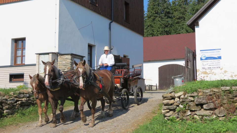 Povoz s koňmi bude v okolí Modravy vozit turisty