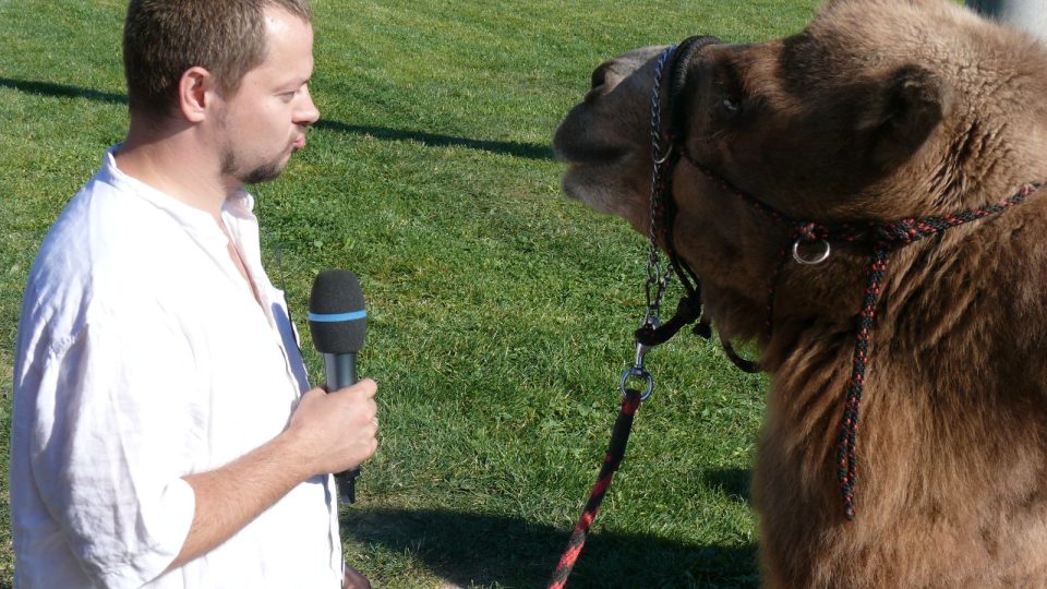 Přímý přenos Fontány ze Zoo Tábor-Větrovy