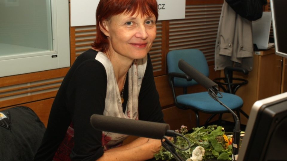 Hana Synková