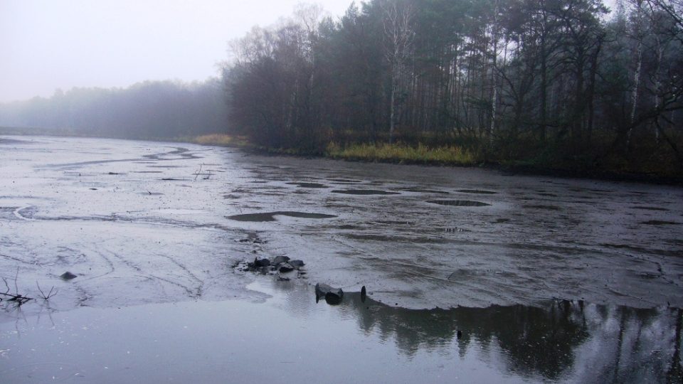 Výlov rybníka Hvězdov v Ralsku na Českolipsku 