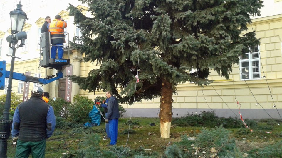 Odstraňování vánočního stromu na Zámeckém náměstí v Teplicích