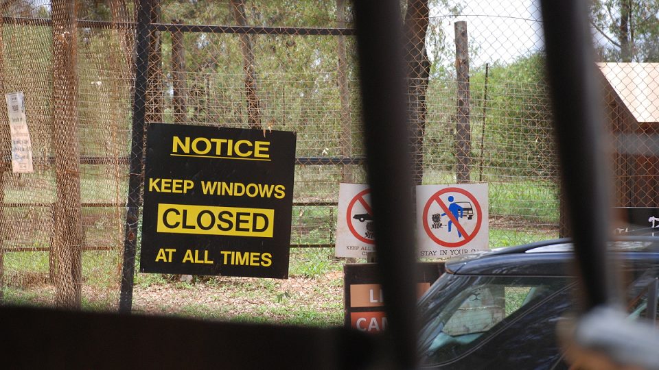 Varování pro návštěvníky: za žádných okolností neotvírejte okno auta!
