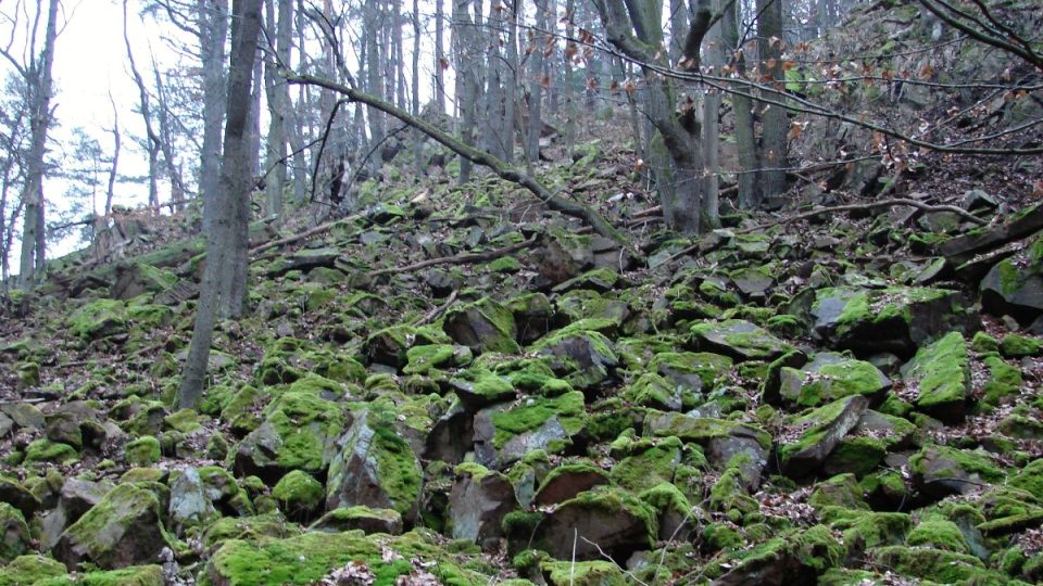 Přírodní rezervace Strádovské Peklo a Krkanka na Pardubicku