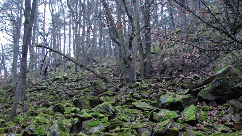 Přírodní rezervace Strádovské Peklo a Krkanka na Pardubicku