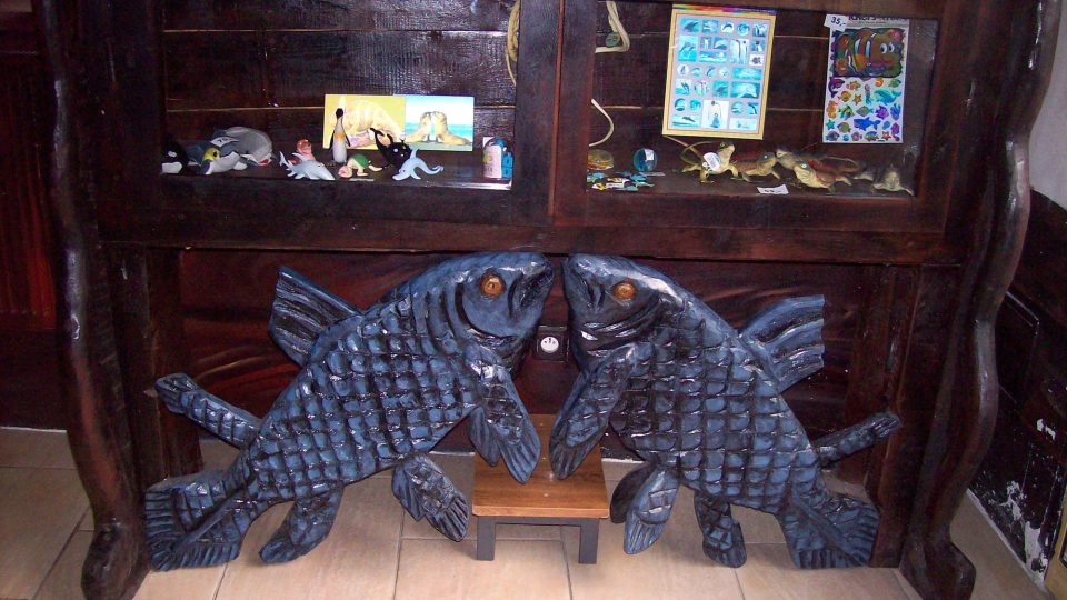 Rajské ostrovy děčínské ZOO - rybí dekorace Rajské ostrovy děčínské ZOO - rybí dekorace