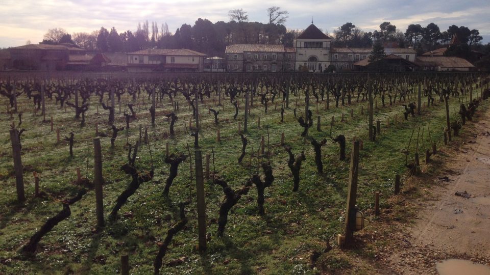 Vinicím se říká nejštěrkovatější ze štěrkovitých, je to tu samý kamínek – víno se tady ale rodí náramné