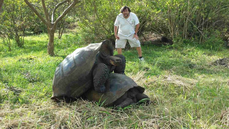 Přítomnost člověka želvy na Galapágách nijak nevyrušuje