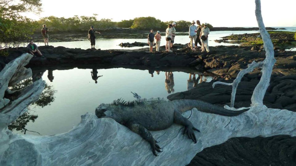Zvířata na Galapágách chrání před turisty mimo jiné také UNESCO