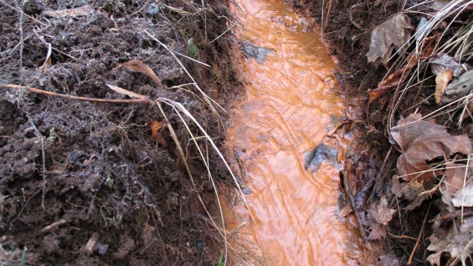 Oranžovou barvu dává Kopeckého prameni železo