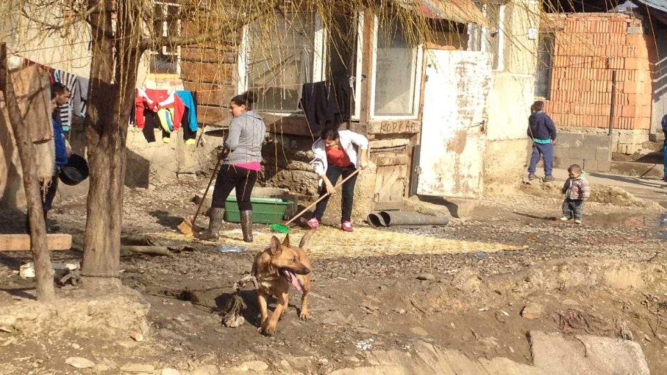 V romské osadě vychovávají psy 35 let